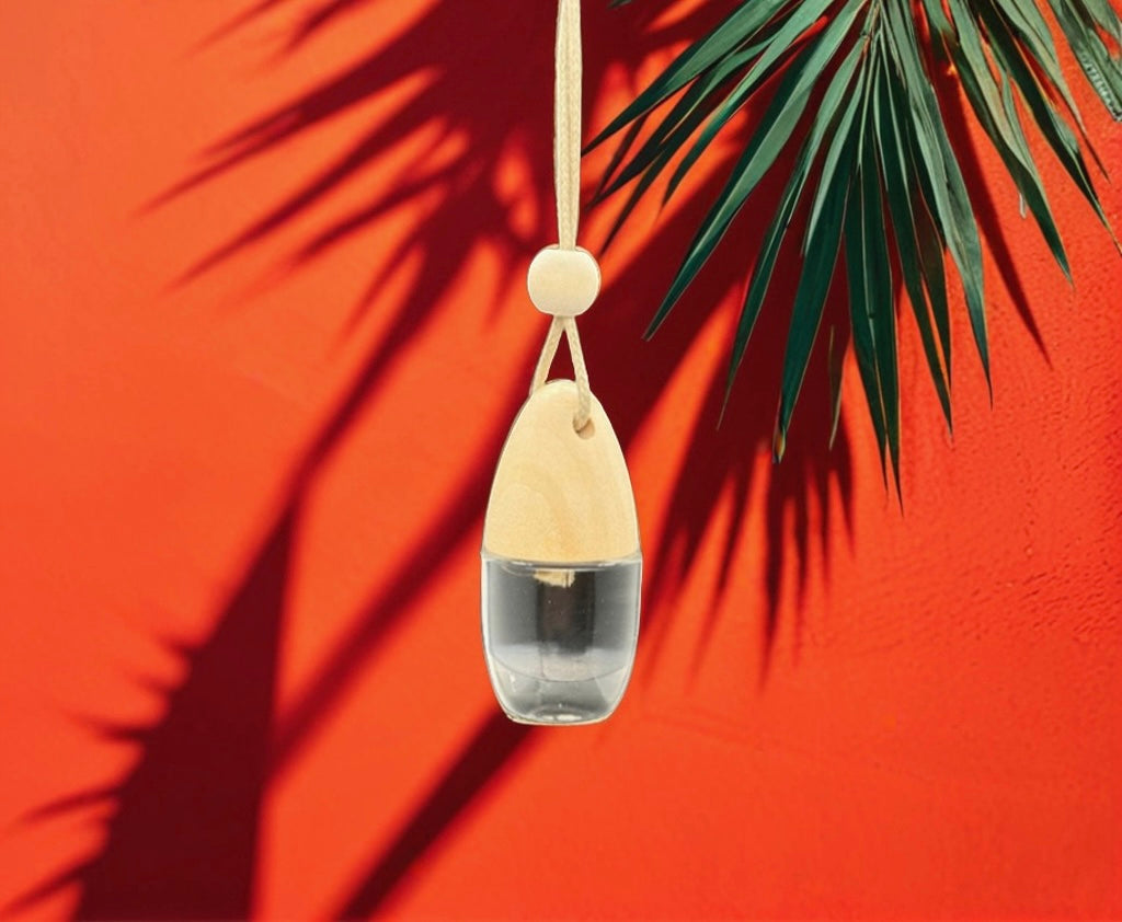 Autodiffuser:Pure Eleganz